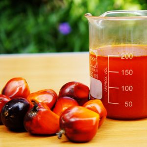 Palm Acid Oil