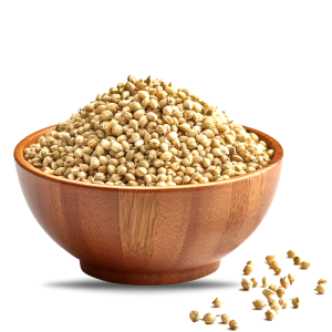 Coriander Seeds