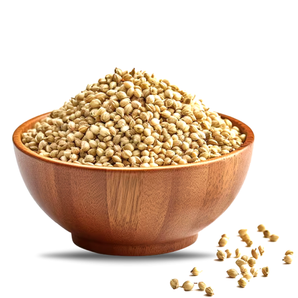 Coriander Seeds