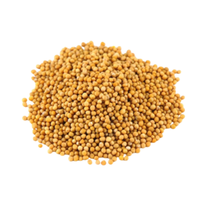 Mustard Seeds