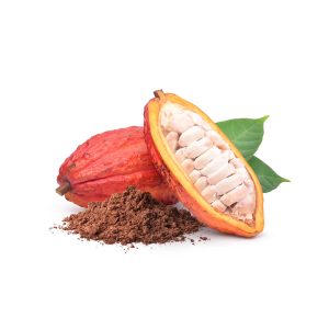 Cacao Beans