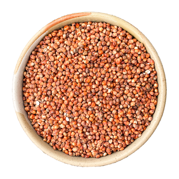Sorghum